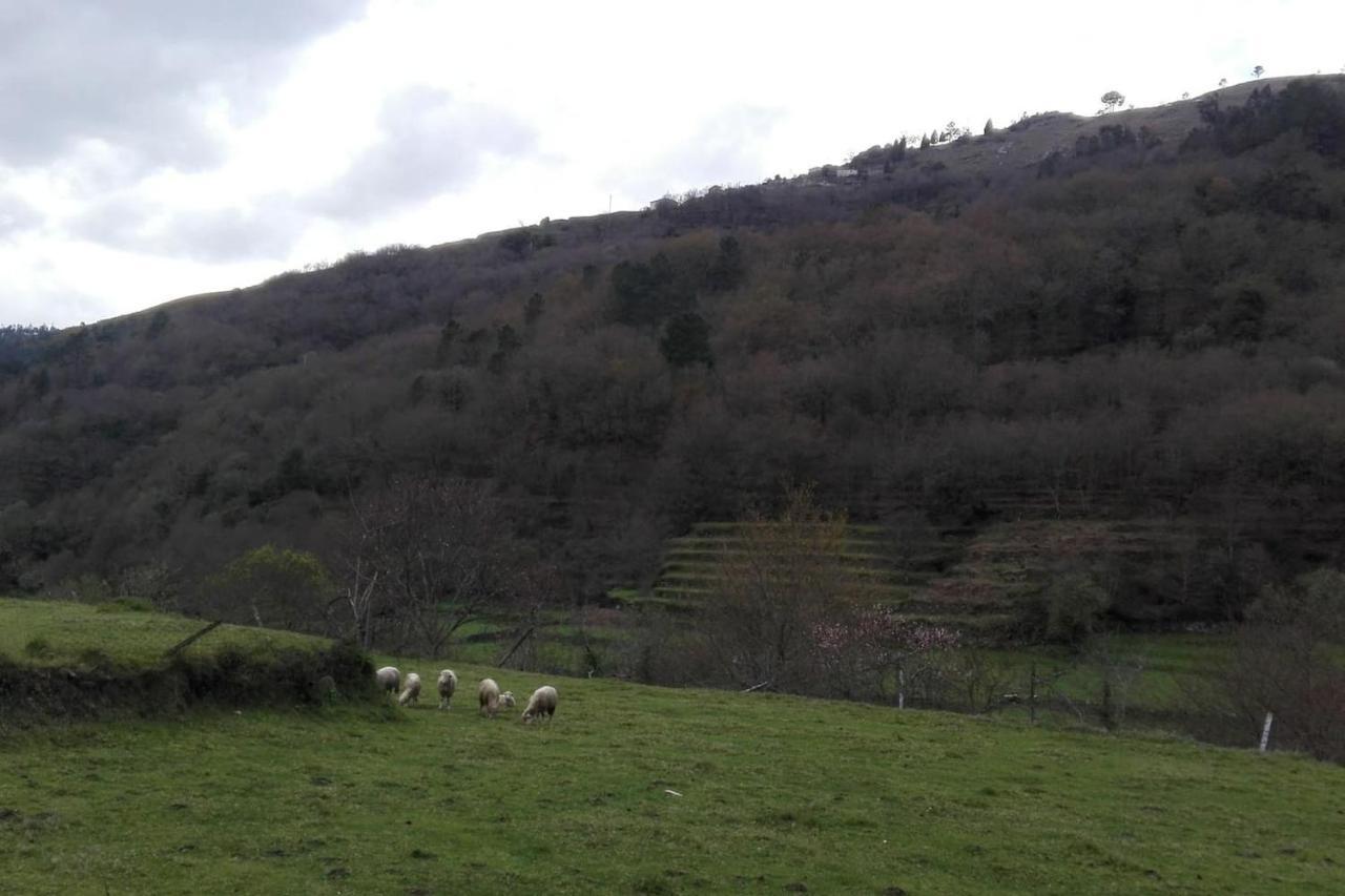 Willa Quinta Da Imaculada Arcos de Valdevez Zewnętrze zdjęcie